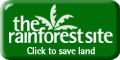 Click here to help the rain forest for free